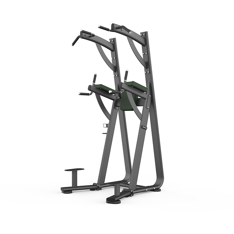 SHUA/舒華單雙杠及提腿腹肌組合練習(xí)器SH-G6888